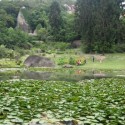 Wanshi botanische tuin in Xiamen